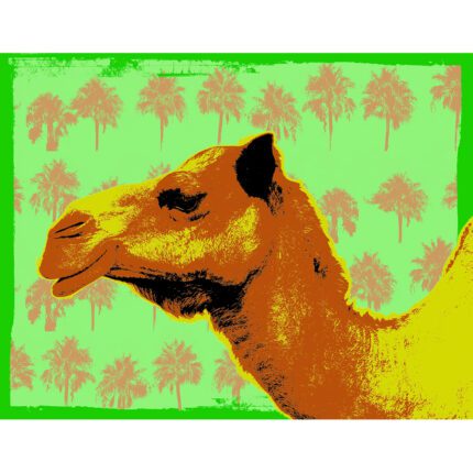 Carl The Camel I