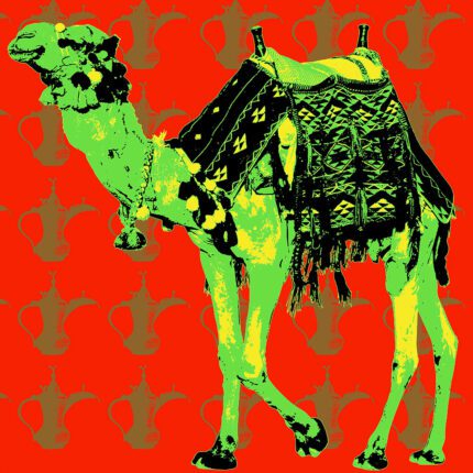 Carl The Camel II