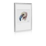 Baby Animals of Arabia Flamingo - Image 2