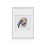 Baby Animals of Arabia Flamingo