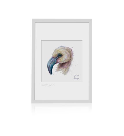 Baby Animals of Arabia Flamingo