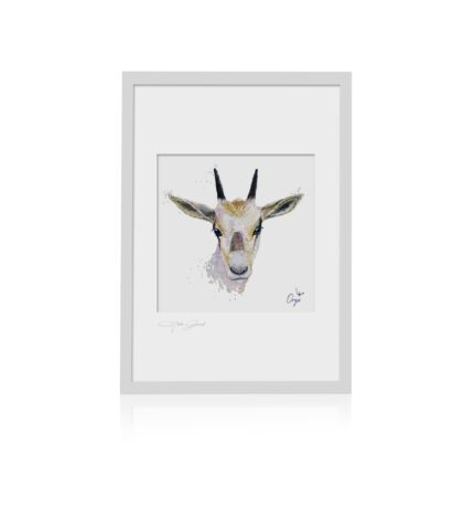 Baby Animals of Arabia Oryx